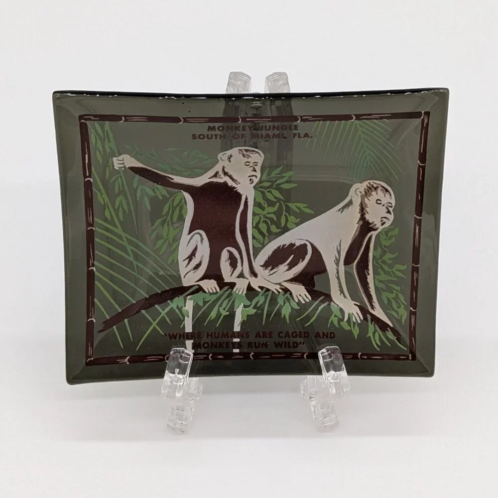 Vintage Monkey Jungle Glass Souvenir Dish Miami Florida Green Brown Chimp Zoo - Picture 2 of 6